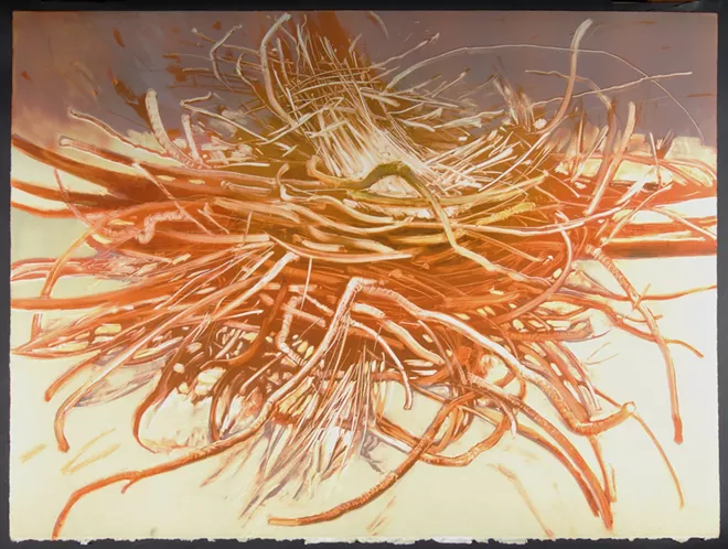 Spokane Print Fest returns for its fifth run, introducing an array of printmaking processes and artists to the community - Vimarsana News