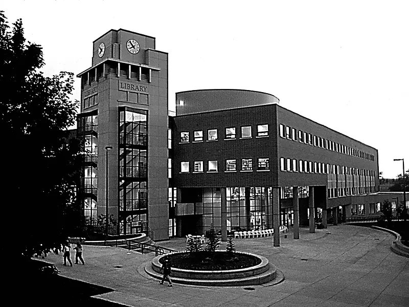 art18311.jpg