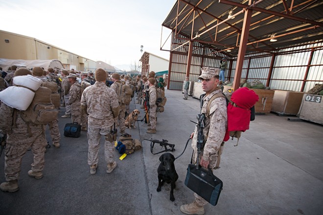 US Marine Corps First Combat Engineering Batallion Corporal Jesse Rosinski, standing next to his IED detection dog, Sergeant Mason, watches a customs briefing. - YOUNG KWAK