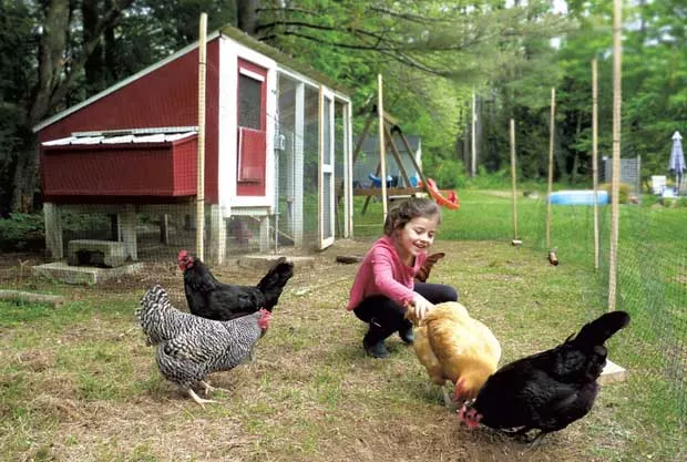 Savannah Small with her chickens