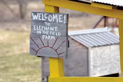 Elephant in the Field daycare in Waterbury - JEB WALLACE-BRODEUR
