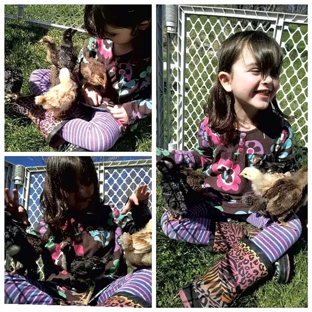 Rosie and her chickens