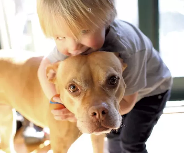 Arlo and Ginger