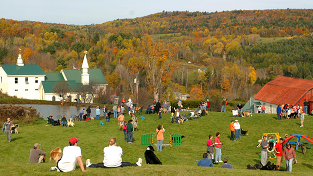 Catamount Arts Levitt AMP St. Johnsbury Music Series
