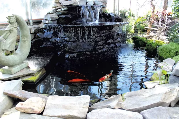 The koi pond - KATIE TITTERTON