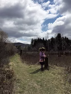 Robert Frost Interpretive Trail - MEGAN JAMES