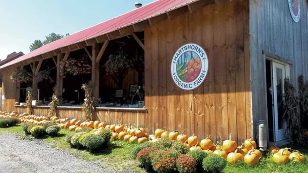 Hartshorn's Organic Farm Stand - COURTESY IMAGE