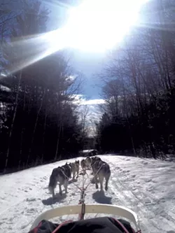 Farley enjoys time in the woods with his dogs - COURTESY OF OCTOBER SIBERIANS