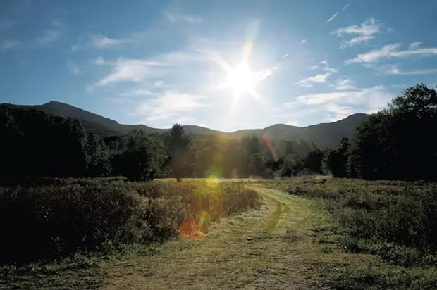 An open meadow at ReTribe in Underhill - COURTESY OF RETRIBE