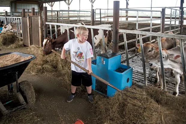 Rowdy feeds calves - CALEB KENNA
