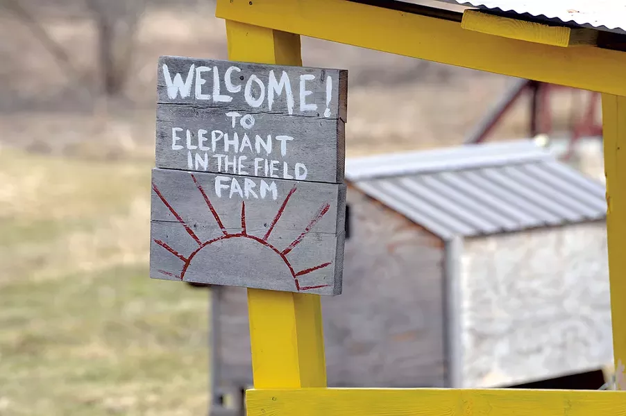 Elephant in the Field daycare in Waterbury - JEB WALLACE-BRODEUR