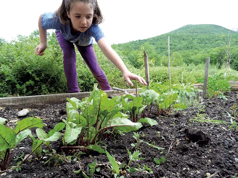 Lucy tending to her family's garden. - LAURA SORKIN