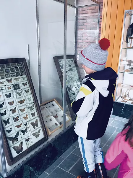 UVM's taxidermy collection - HEATHER POLIFKA-RIVAS