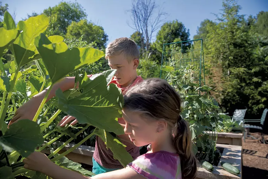 Sawyer and Mavis tend their new vegetable beds. - JAMES BUCK