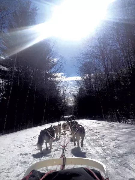 Farley enjoys time in the woods with his dogs - COURTESY OF OCTOBER SIBERIANS
