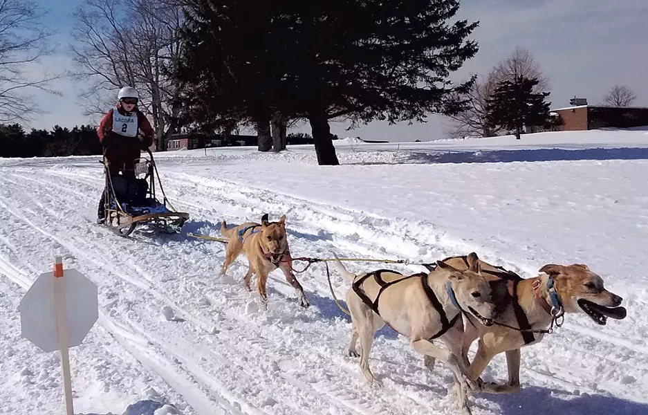 Kayleigh DiMaggio races Eurohounds - COURTESY OF KAYLEIGH DIMAGGIO