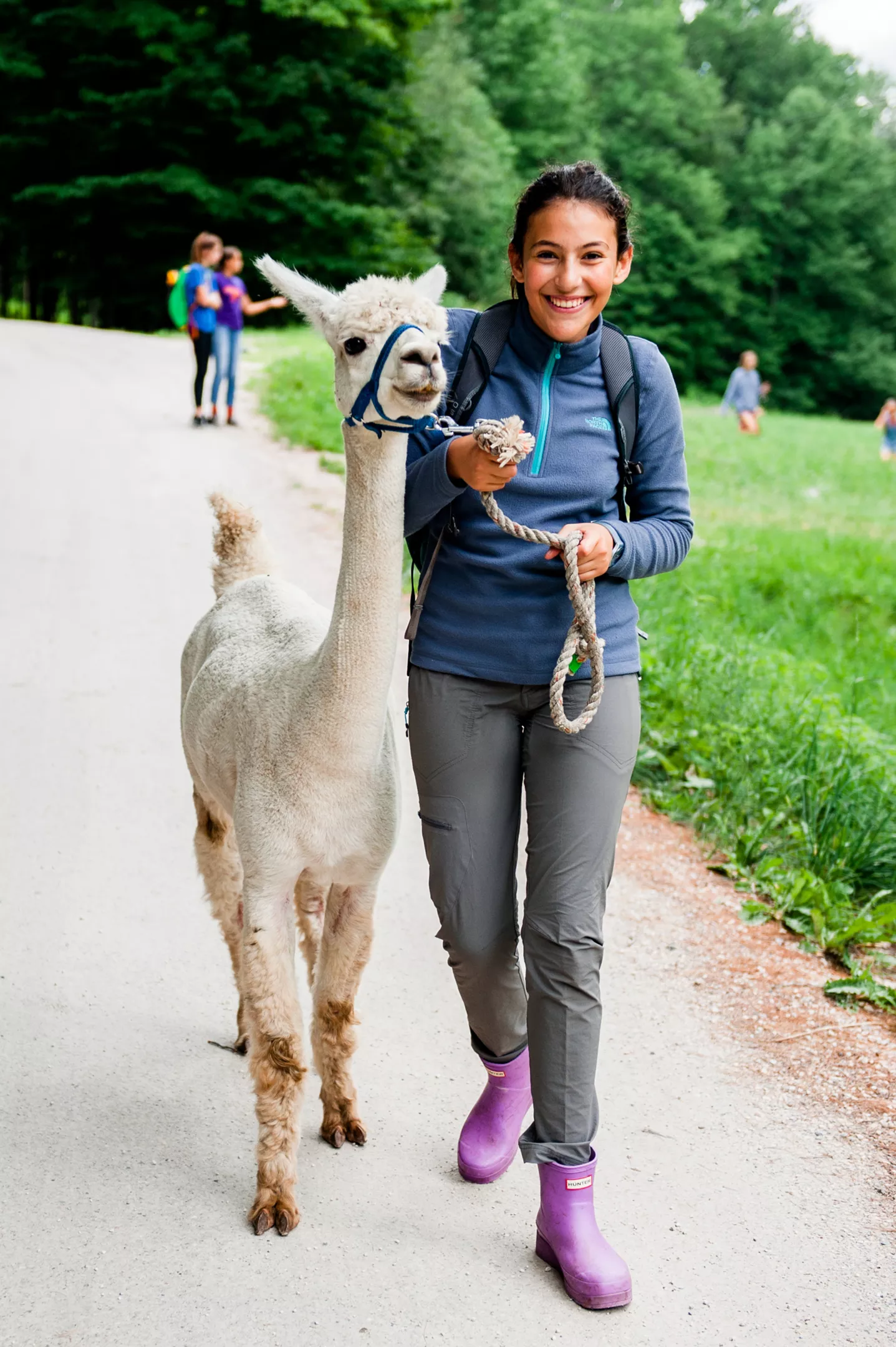 Farm And Wilderness Summer Camps Windsor County Farm Animals General Interest Adventure Religious Camps