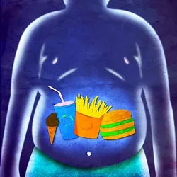 1562015.jpg