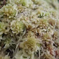 Lake Superior Memories ...