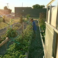 Hamtramck's Hamtown Farms shuts down after it's repeatedly vandalized