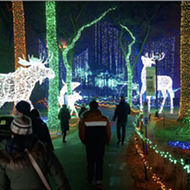 Detroit Zoo welcomes the return of dazzling and festive Wild Lights event