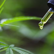 CBD prevented COVID-19 infection in patients, according to new study