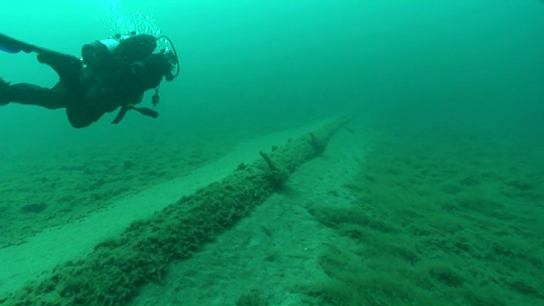 In 2013, the National Wildlife Federation sent divers to look at Enbridge, Inc.'s aging straits pipelines, finding wide spans of unsupported structures encrusted with exotic zebra mussels and quagga mussels. - NATIONAL WILDLIFE FEDERATION