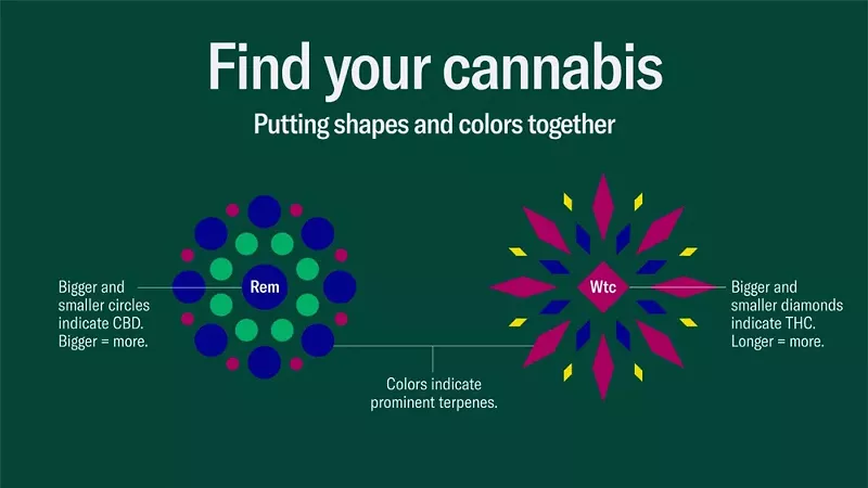 Leafly’s new strain visualization uses diamonds to represent THC and circles for CBD. - COURTESY OF LEAFLY.COM