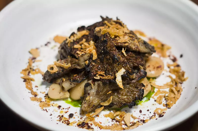 Oyster mushrooms. - TOM PERKINS