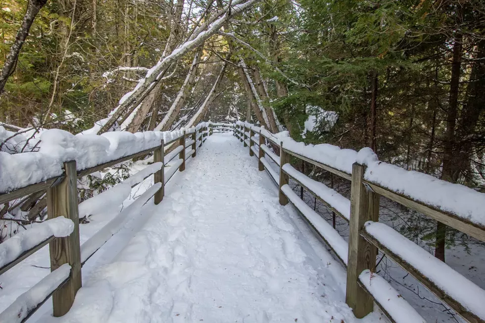 Pure Michigan. - SHUTTERSTOCK