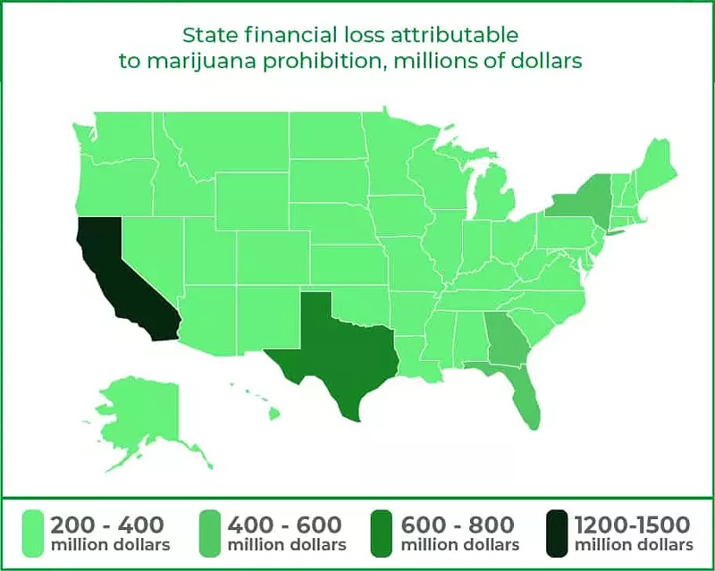 AMERICANMARIJUANA.ORG