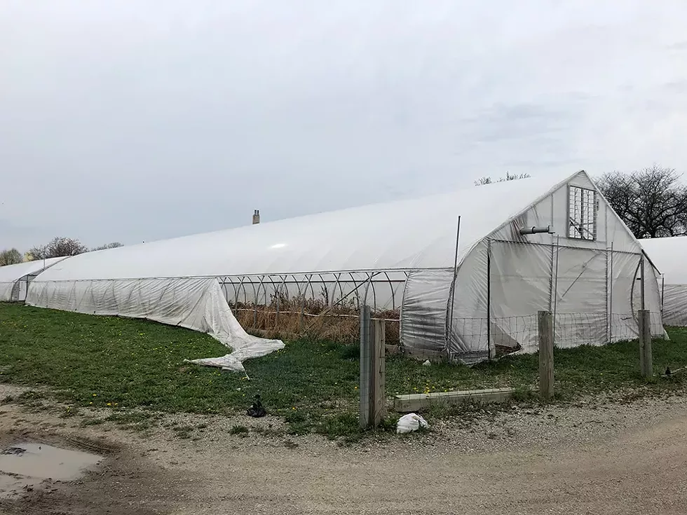 On a recent visit, Metro Times found six of the eight hoop houses were empty, filled with dead vegetation and some trash, their plastic walls torn open. - LEE DEVITO