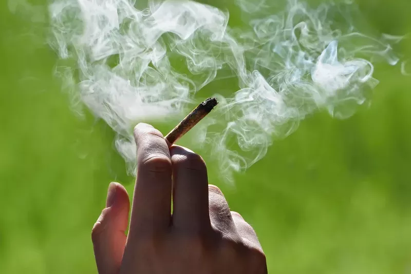 Study finds that high THC cannabis use can cause memory issues. - SHUTTERSTOCK