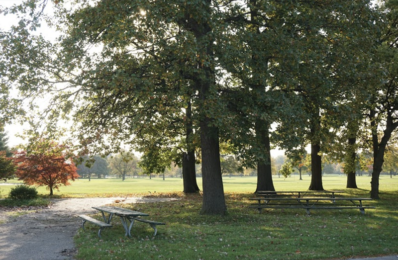 park_palmer.png
