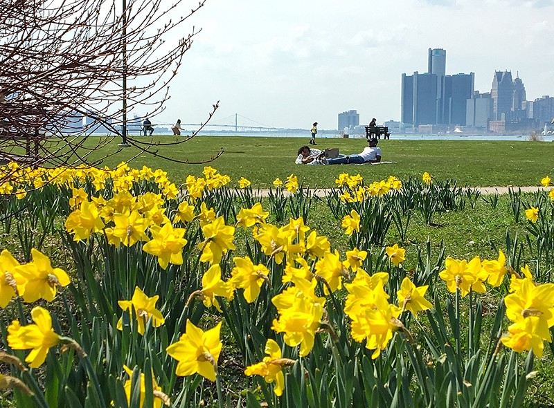 If the Detroit Grand Prix leaves Belle Isle, springtime on the island will be quiet and gorgeous again. - COURTESY OF THE BELLE ISLE CONSERVANCY