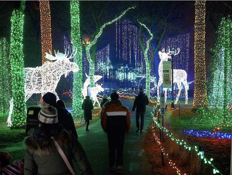 The Detroit Zoo's annual Wild Lights returns with millions of lights and lots of festive flare. - COURTESY OF THE DETROIT ZOOLOGICAL SOCIETY.