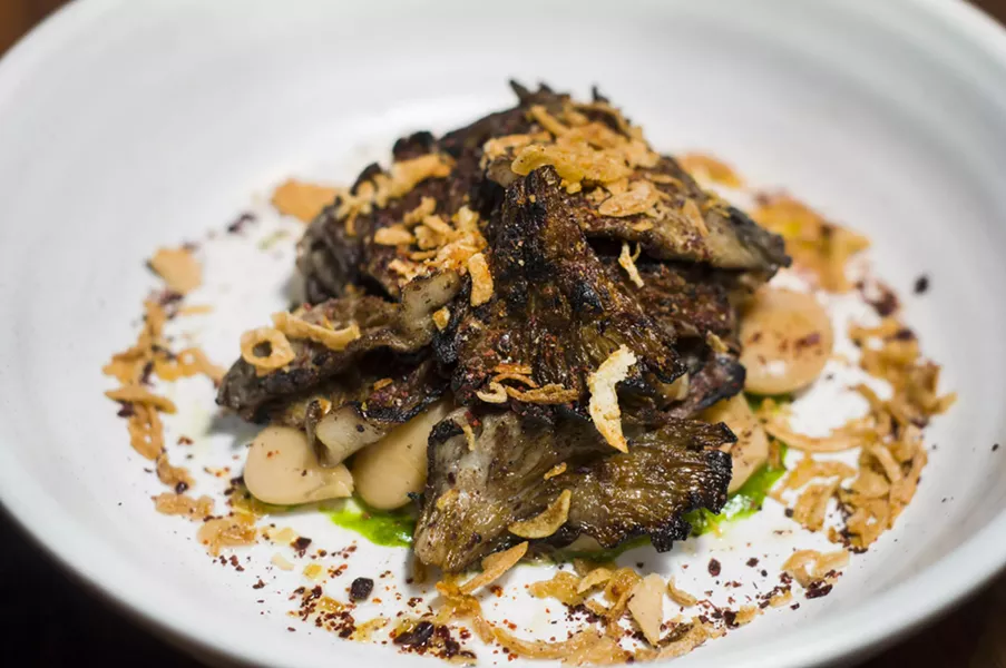 Oyster mushrooms. - TOM PERKINS