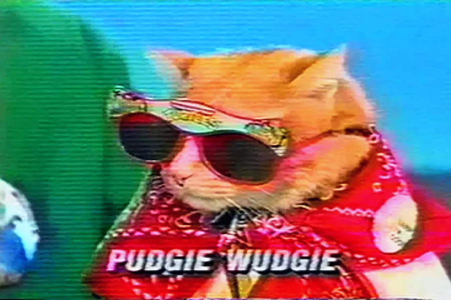 Uhhhhhh? - COURTESY OF FOUND FOOTAGE FESTIVAL VOL. 9