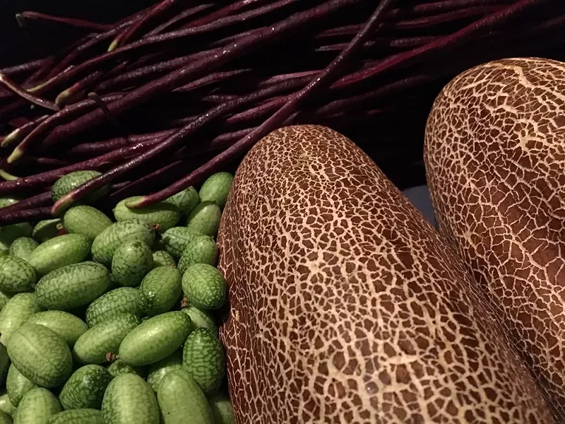 Mexican sour cucumbers, left, and cikkim cucumbers, right. - COURTESY PHOTO