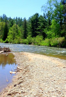 The Pine River in the Manistee National Forest.