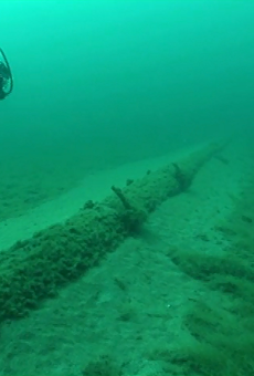 In 2013, the National Wildlife Federation sent divers to look at Enbridge, Inc.'s aging straits pipelines, finding wide spans of unsupported structures encrusted with exotic zebra mussels and quagga mussels.