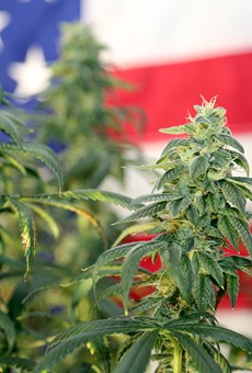 Michigan marijuana dispensaries saw an uptick in weed sales around the election
