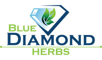 image1.png