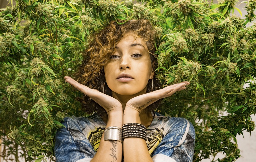 Jena Irene Asciutto released her debut record in June, featuring the pro-pot anthem “So I Get High.” - DOUG COOMBE/LEMON HAZE GROWN AT GHOST BUDSTER FARM