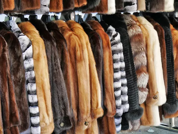 Animal rights activists, rejoice! Ann Arbor votes to ban sale of new fur products