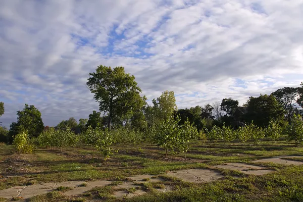 Detroit’s Hantz Farms is beginning to look like a land grab after all