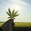 Michigan is experiencing a medical marijuana drought