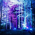 There's a new trippy illuminated forest in Michigan and we want to go to there