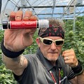 Former Detroit Red Wing Darren McCarty will be a celebrity budtender at the Greenhouse of Walled Lake