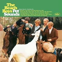pet sounds pet sounds